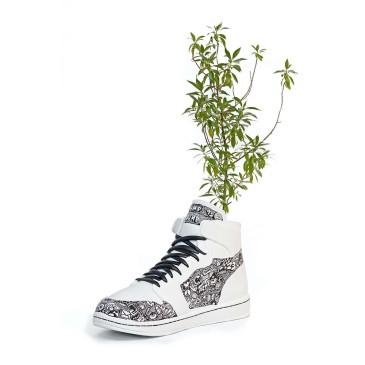 Sneaker Pot by Juliarte...