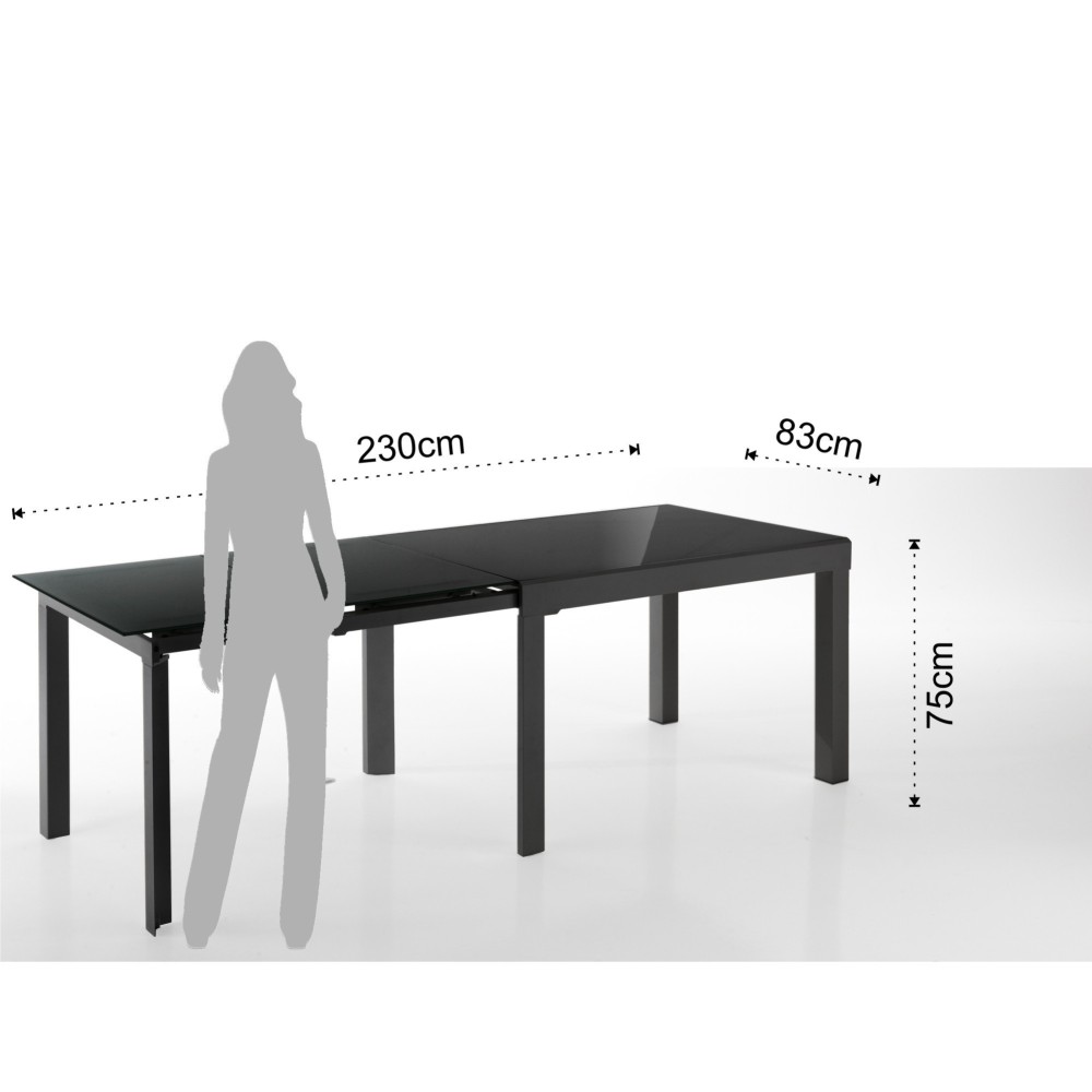 Jolly extendable table seats up to 20 people