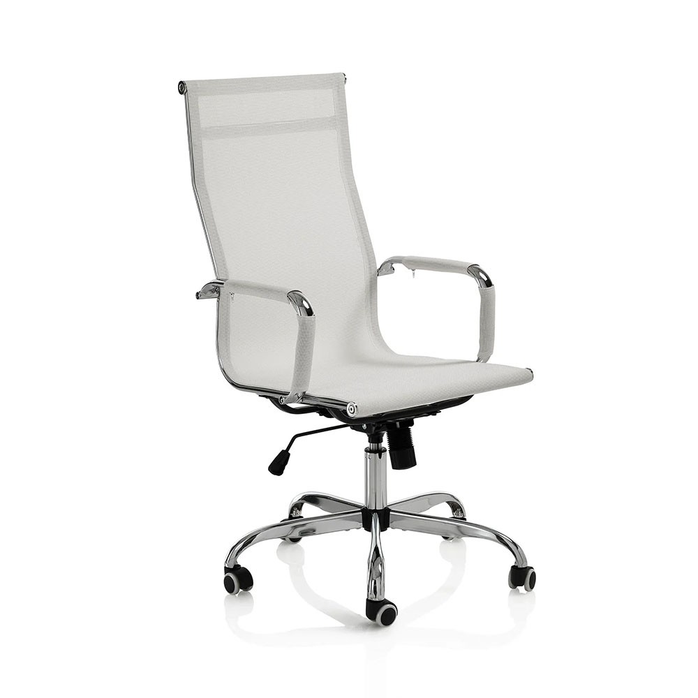 Desk and executive chair, perfect combination for the office