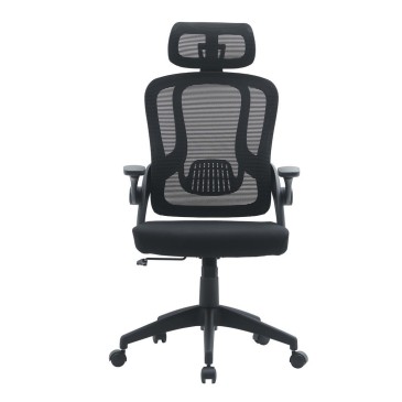 Executive Office Chair | Kasa-Store