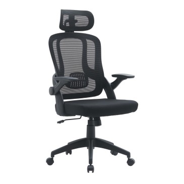 Executive Office Chair | Kasa-Store